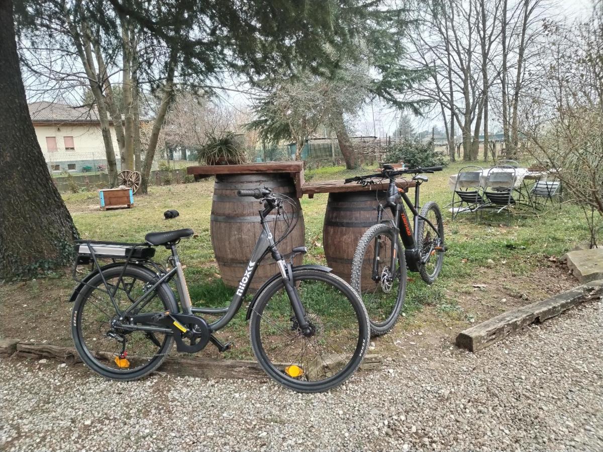 Agriturismo Le Oche Selvatiche Lauzacco Luaran gambar