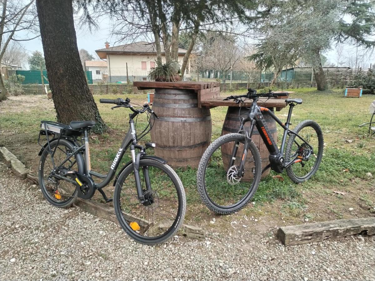 Agriturismo Le Oche Selvatiche Lauzacco Luaran gambar